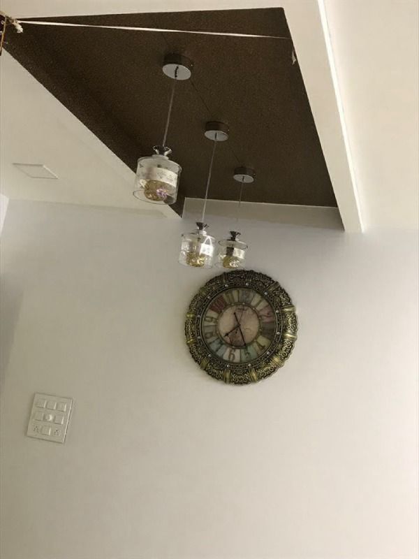 Decorative Ceiling Hang Lights