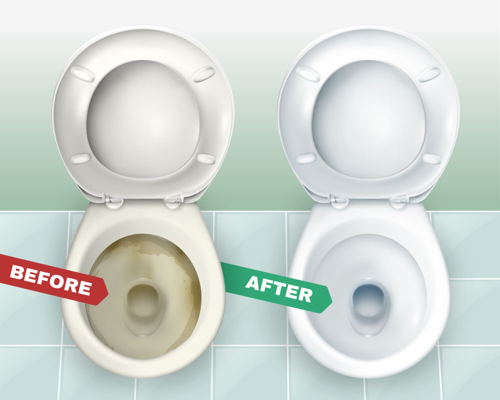 Hard Water Rings Removed