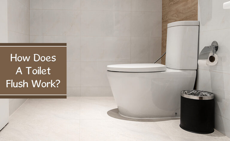 How The Toilet Flush Works