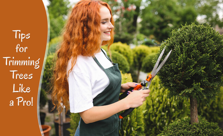 Tree Trimming Tips