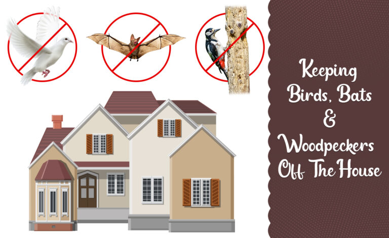 Keeps Bats, Birds & Woodpeckers Away