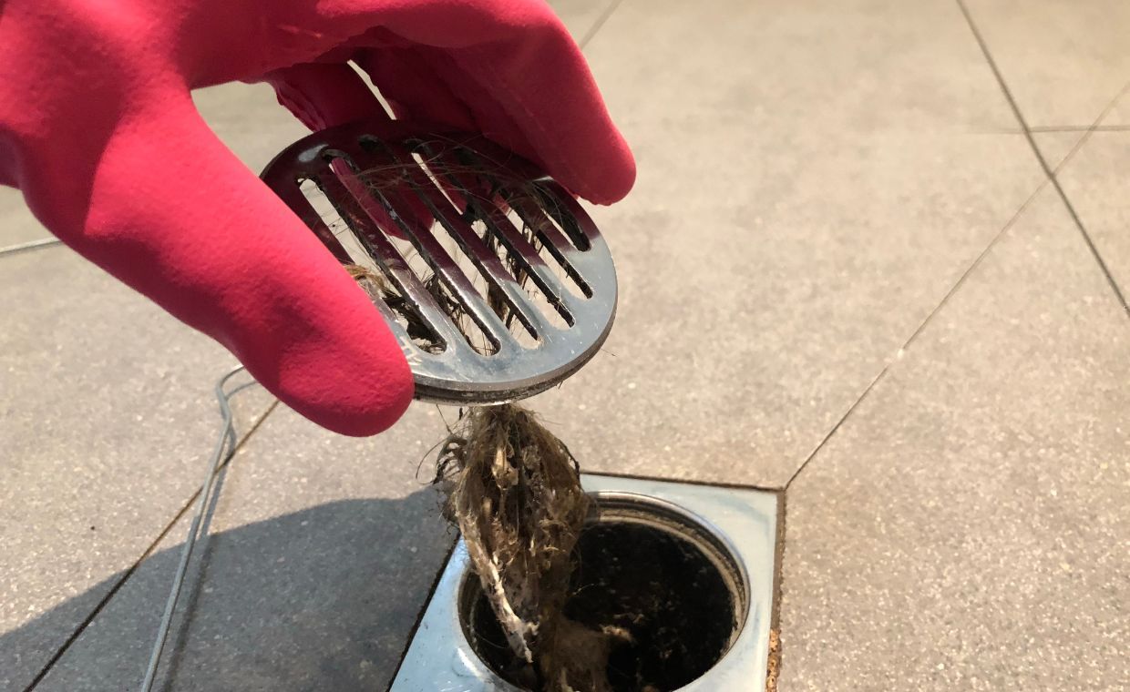 Stinking Shower Drain