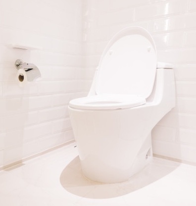 European type W.C. pan_M European type W.C. pan