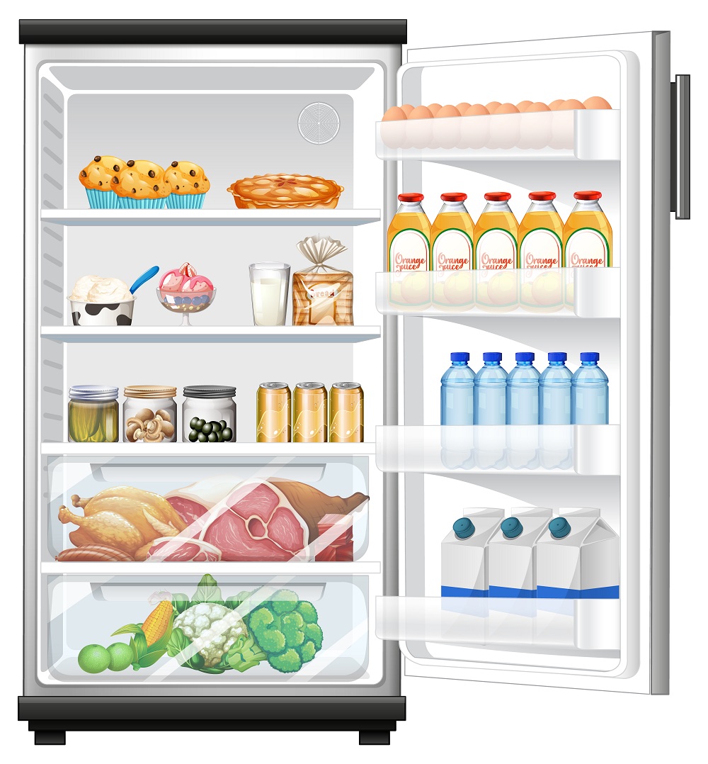 Refrigerator Without A Freezer Compartment
