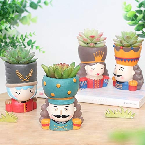 17 – Kingdom Succulent flower Planter flower Planter