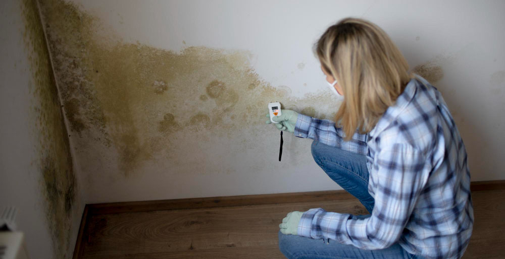 Checking the Area Affected by Mold