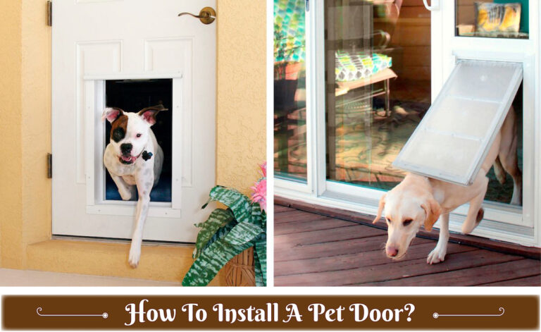 Pet Door