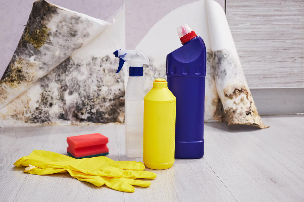 Prevent Mold in Basement