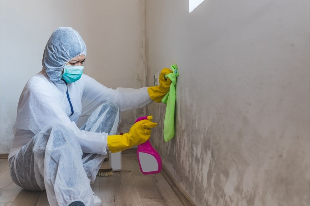 Use of Protective Gear While Treating Mold