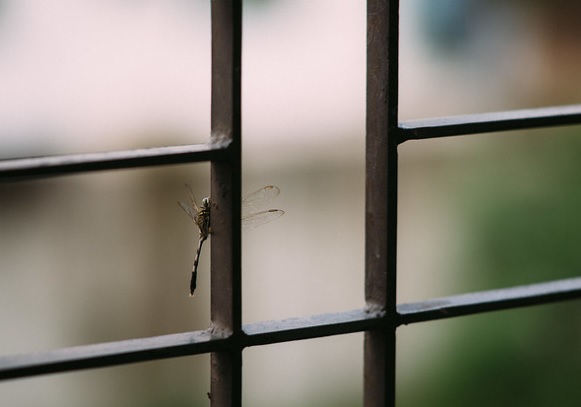 04 – Window grill Window grill