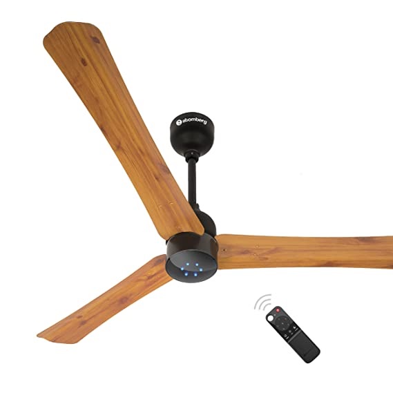 19 – Ceiling Fan Ceiling Fan