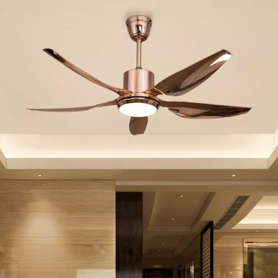 27 – Ceiling Fan Ceiling Fan