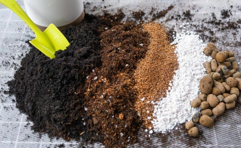 Organic Fertilizers for your Garden