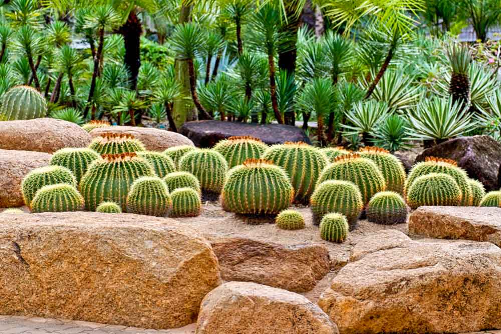 Topography for Desert Landscaping