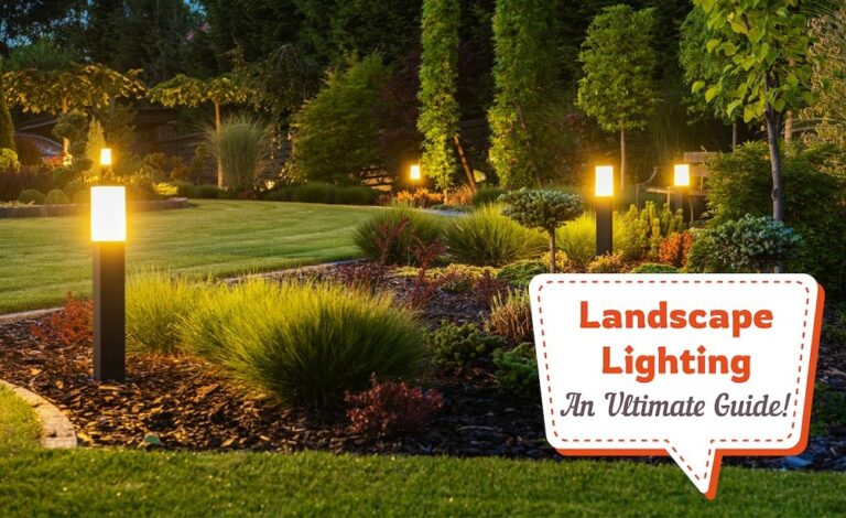 Landscape Lighting