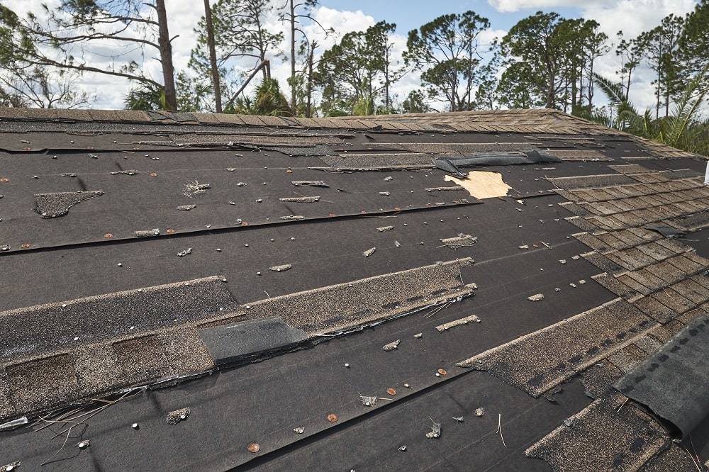 Common Roofing Problems