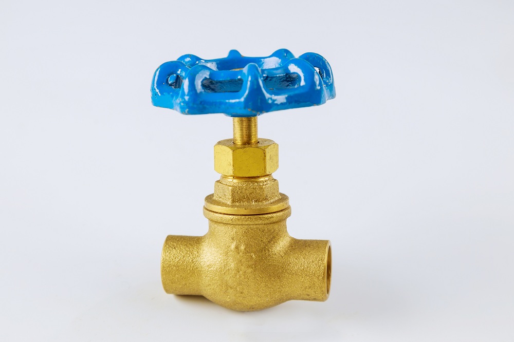 Globe Valve