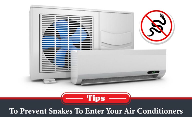 How to Keep Snakes out of Air Conditioner