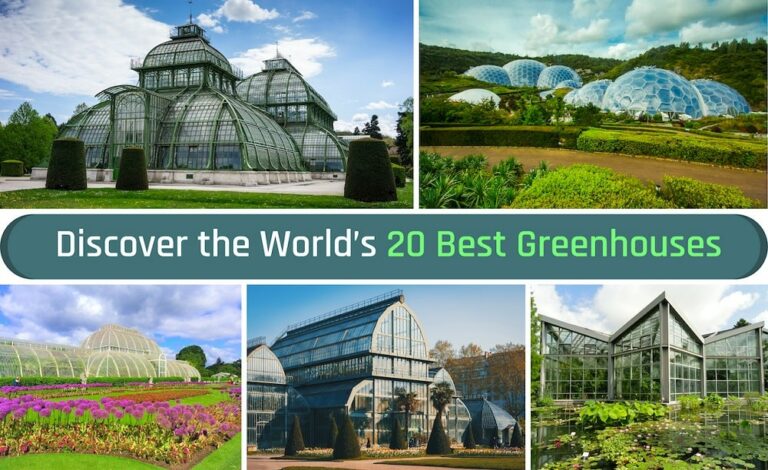 Best greenhouses in the World