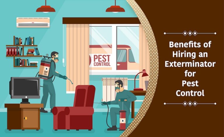 Exterminator for Pest Control