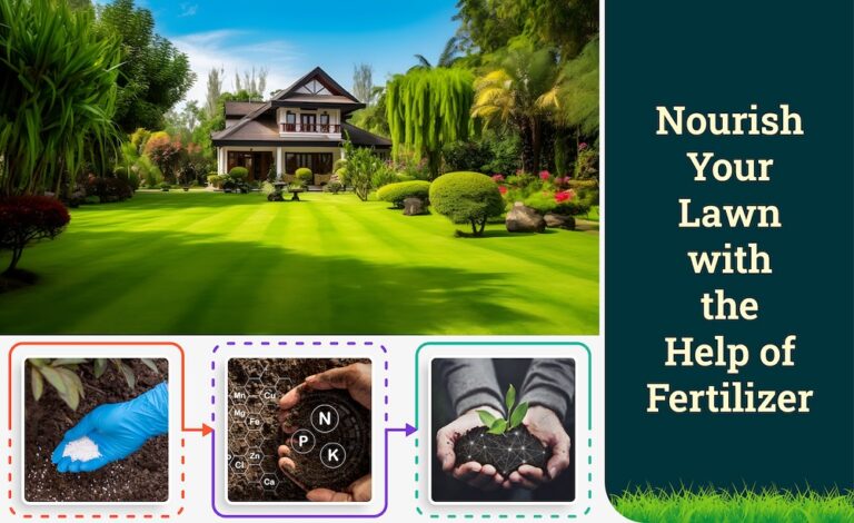 How Does Fertilizer Help Your Lawn Grow