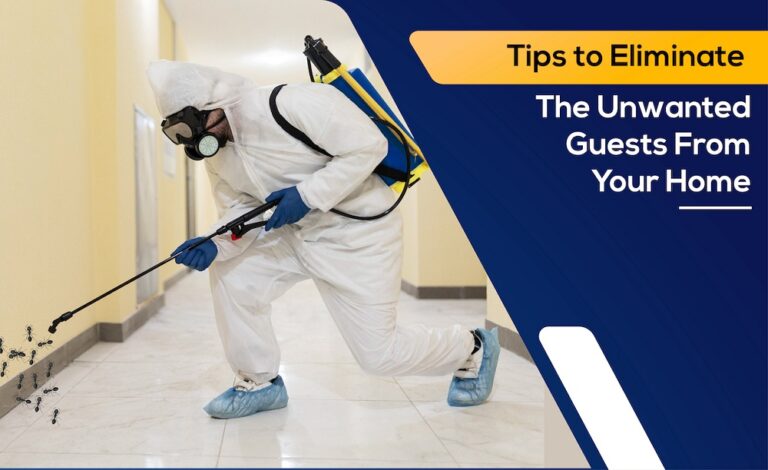 How To Get Rid Of Ants From Your House