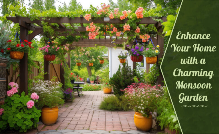 Monsoon Gardening Tips
