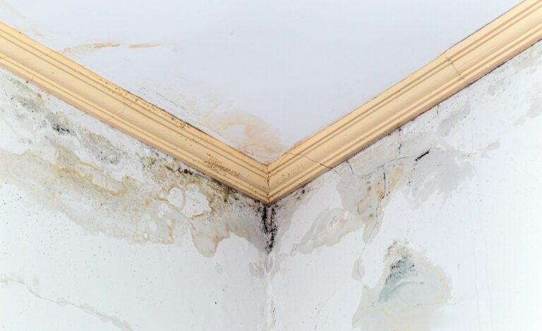 How to Address Common Roofing Problems