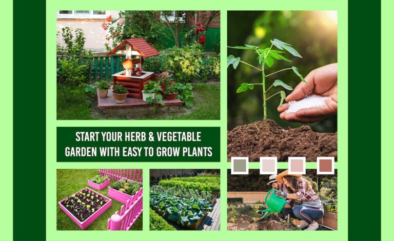 Start Your Herb & Vegetable Garden With Easy To Grow Plants