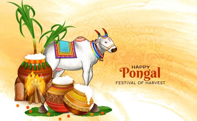 Pongal Decoration Ideas
