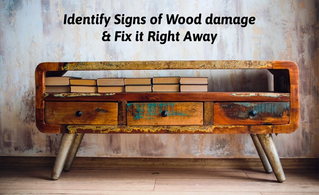 SolutSolutions to fix wooden damageions to fix wooden damage