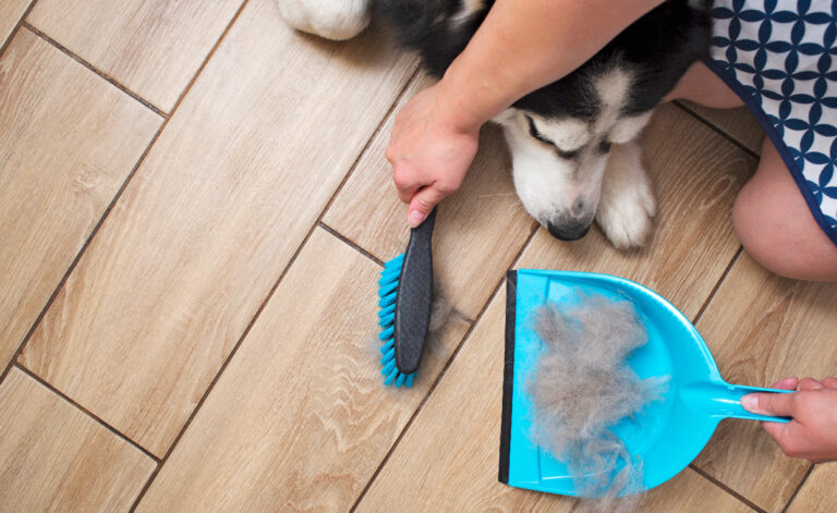 Remove Pet Hair From Home