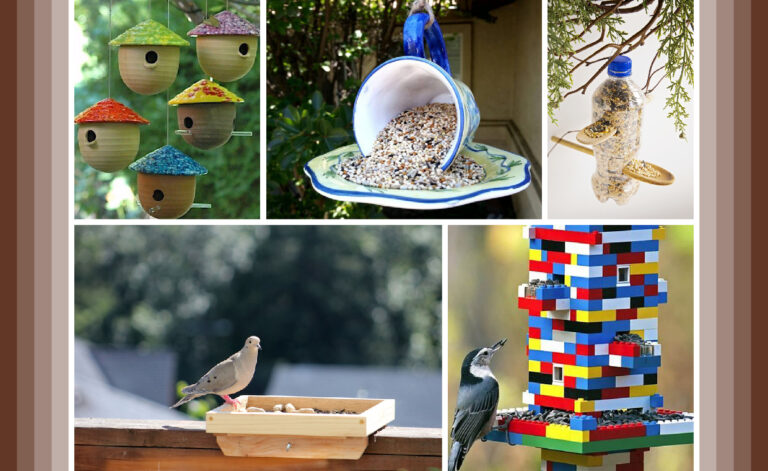 DIY Balcony Bird Feeder Ideas You Must Try