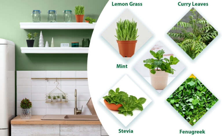 Essential Herbs for Your Kitchen Garden: A Comprehensive Guide