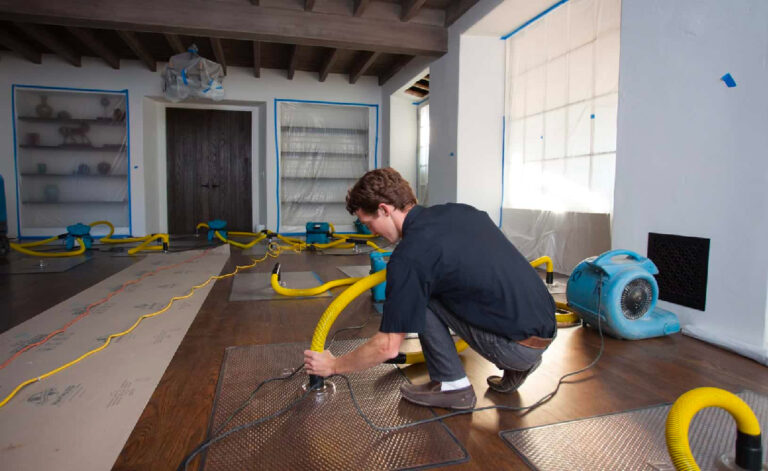 Role of Professionals in Water Damage Restoration