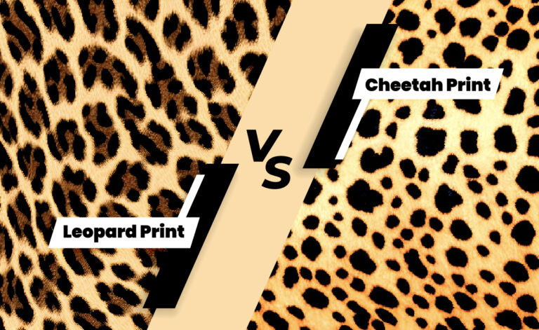Leopard vs Cheetah Print