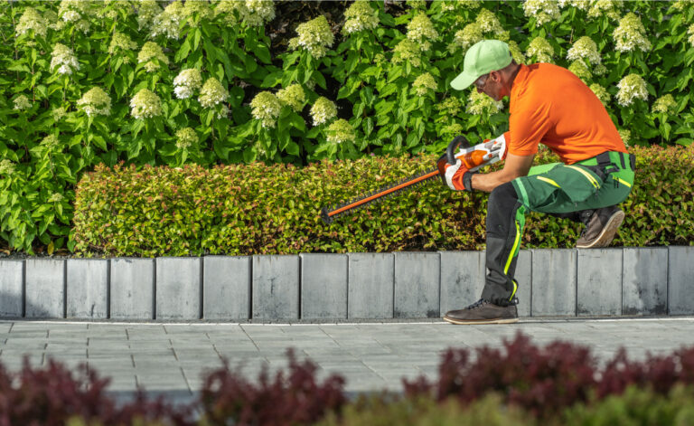 Landscape Design and Maintenance