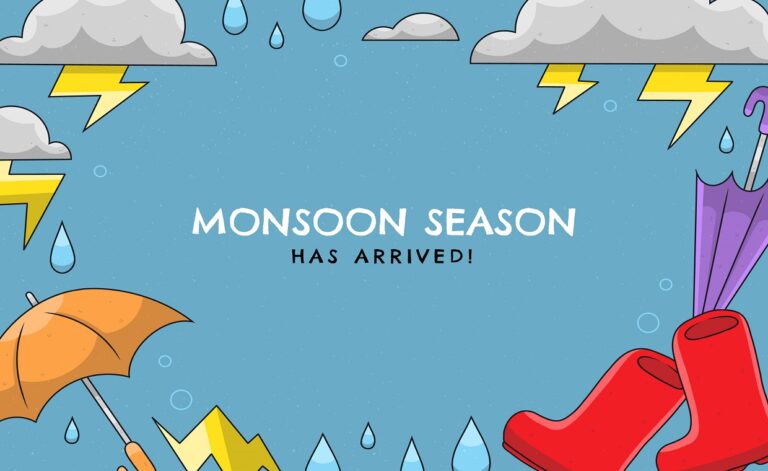 Monsoon Home Care Checklist