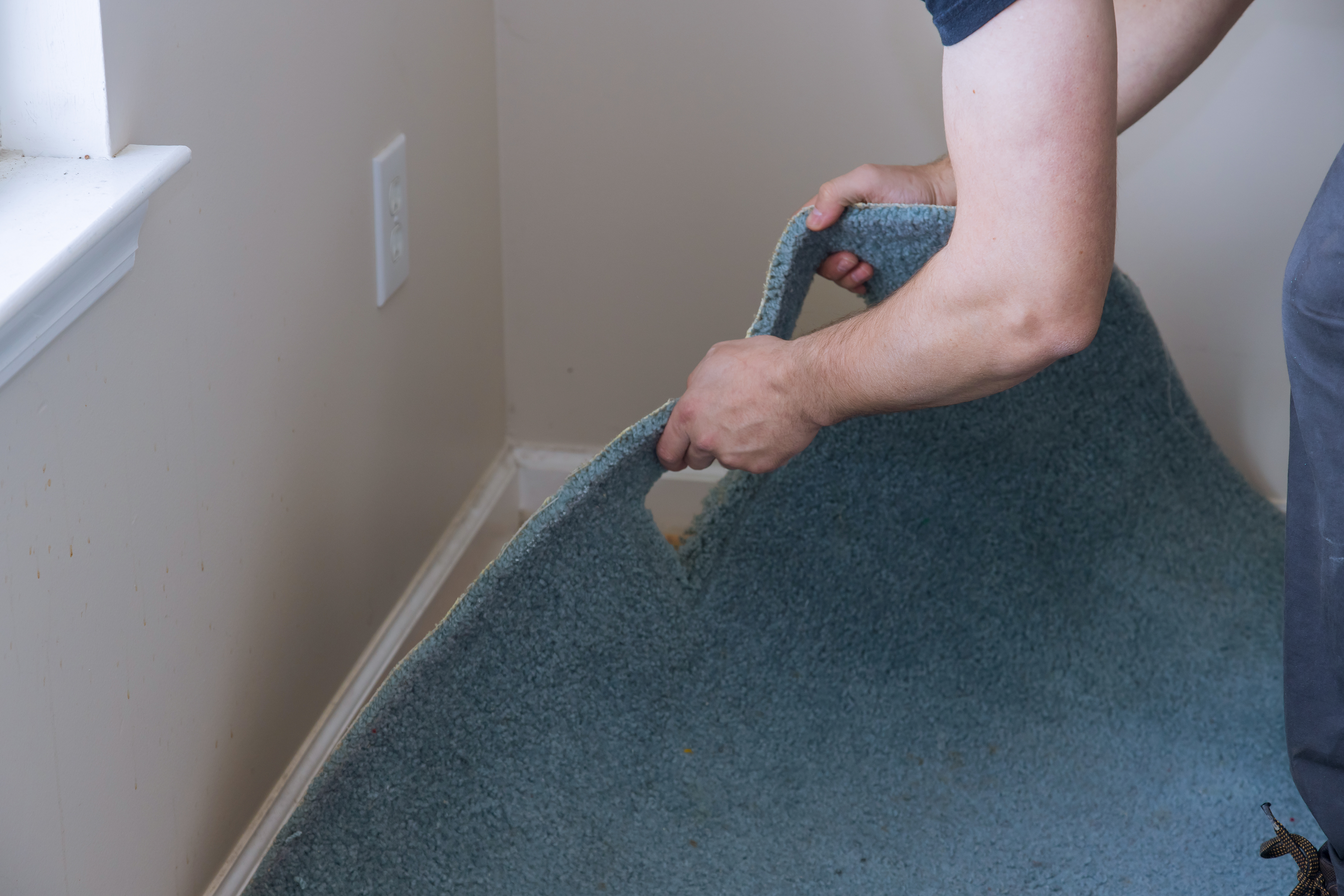 Replace Heavy Carpets with Easy-to-Maintain Versions