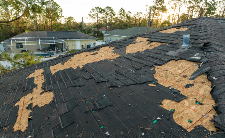 Signs of Roof Damages