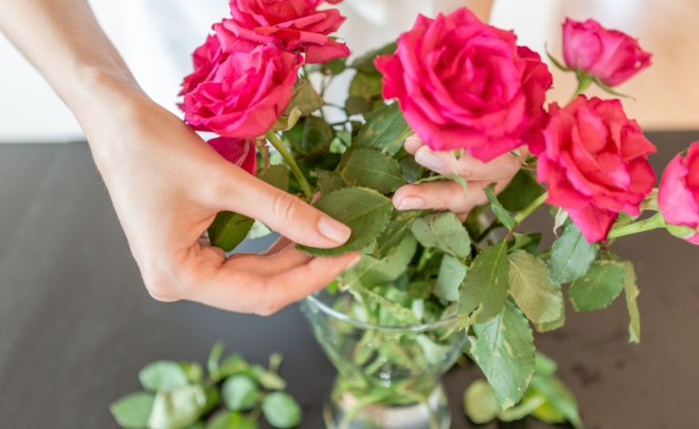 How to Make Roses Last Longer