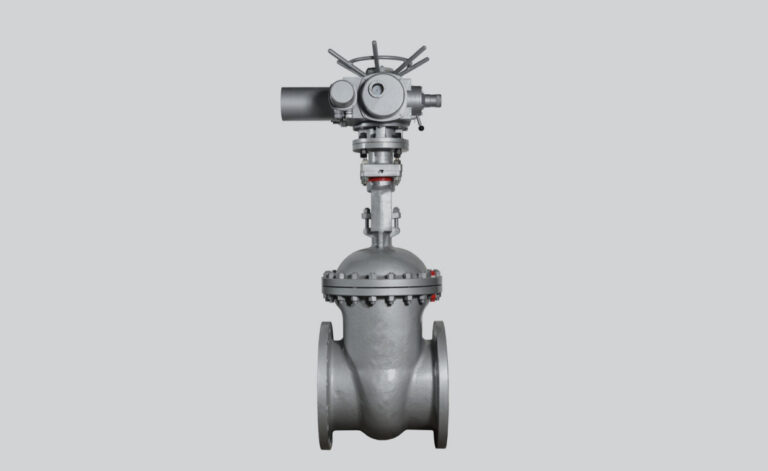 Globe Valves with ARX24-MFT-T Actuators