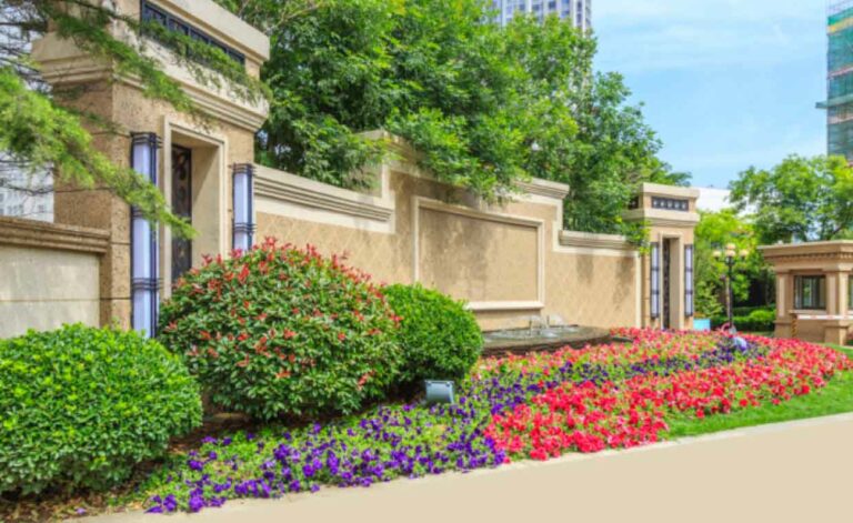 Ways To Choose the Perfect Specimen Trees for Your Landscape