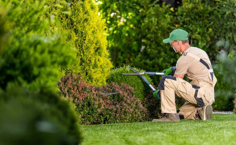 Hire a Professional Landscaper