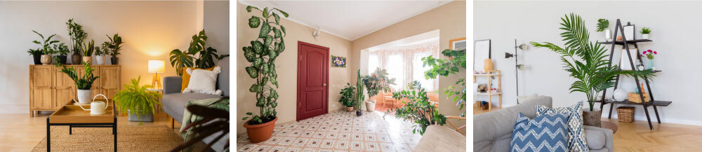 Bring in Some Greens or Fresh Flowers