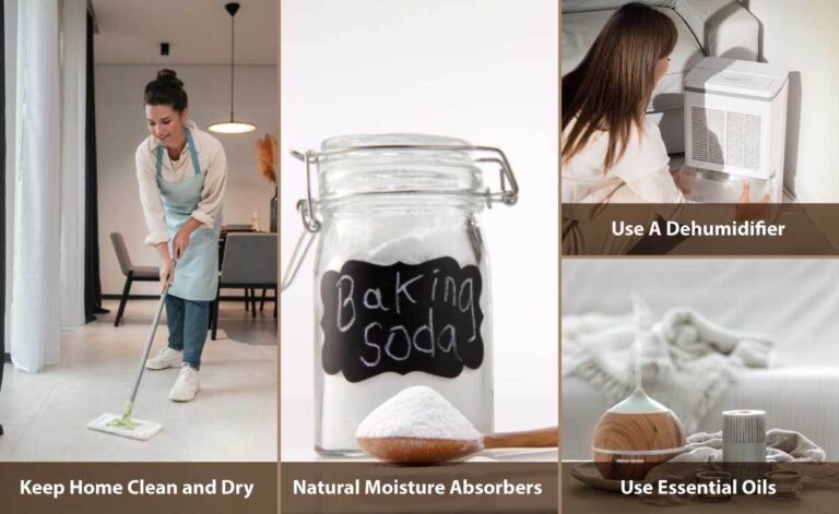 Keep Your Home Odour-Free During the Monsoon Season