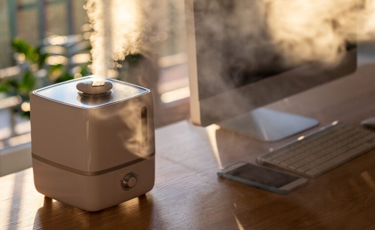 Oil Diffuser vs Humidifier