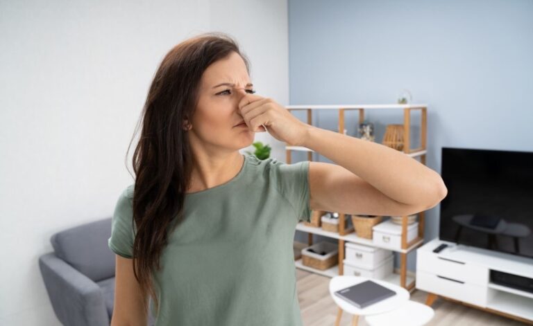 Sewage Smell in House