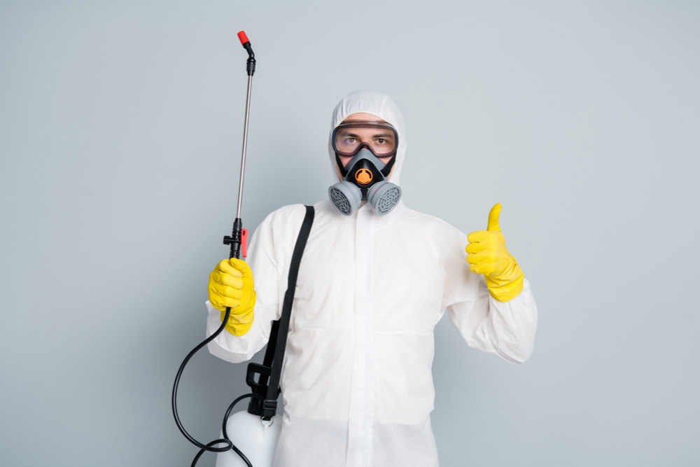 Benefits of Effective Pest Control Services Benefits of Effective Pest Control Services