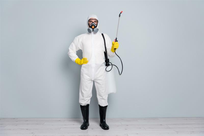 Benefits to Hire the Best Effective Pest Control Service